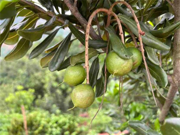 СԹɴa(chn)I(y)R¿hӋNֲԹ60f