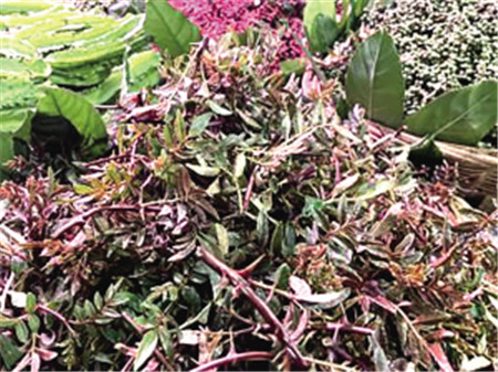 Ј(chng)(ni)λ20o(j)܇վĘʽM(jn)O(sh)Ӌ(j)