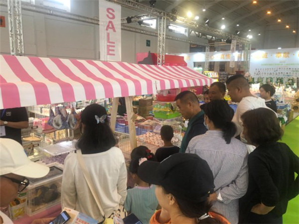 快來(lái)“吸貓吸狗”!第六屆昆明東盟寵物博覽會(huì)開(kāi)幕了 快來(lái)“吸貓吸狗”!第六屆昆明東盟寵物博覽會(huì)開(kāi)幕了