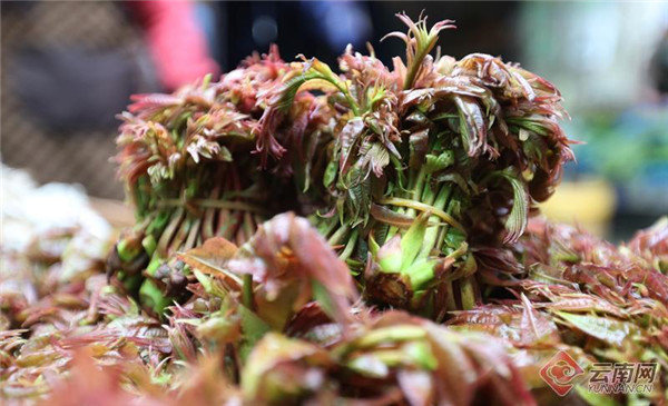 “菜市場旅行”成趨勢 昆明這個菜市場火爆程度位居全國第一 “菜市場旅行”成趨勢 昆明這個菜市場火爆程度位居全國第一