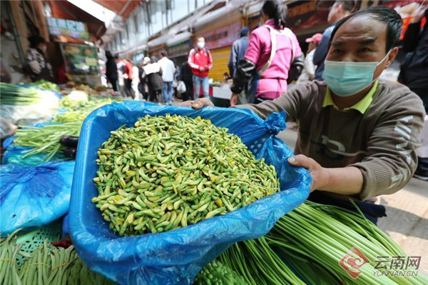“菜市場旅行”成趨勢 昆明這個菜市場火爆程度位居全國第一 “菜市場旅行”成趨勢 昆明這個菜市場火爆程度位居全國第一