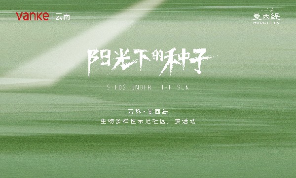 1dc6111fd5cd6cfdc302a34c60bdf58