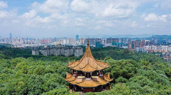 ΢ňDƬ_202306151514491