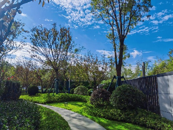 e6893b62d853fa0472d759c1f6a8f13