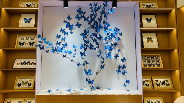 79642099fc4f73de1d643734f80b161