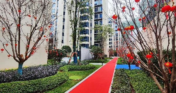 ΢ňDƬ_20231223144851