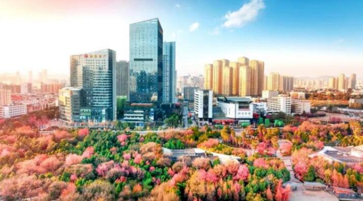 PϡGΡٶɭֹ@cؘ˽ڳǽA