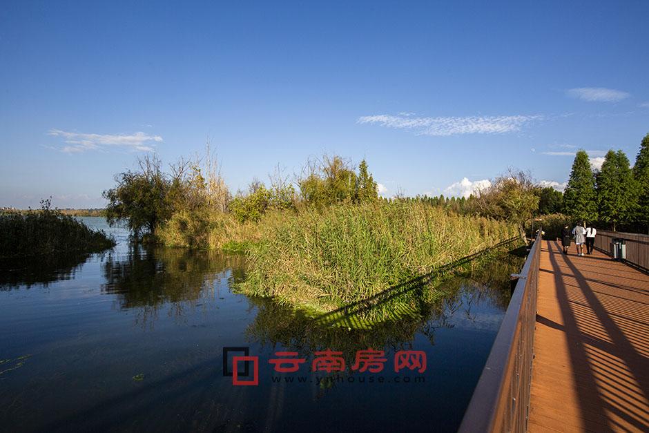 昆明擁有得天獨厚的自然條件(圖為滇池撈魚河濕地公園) 昆明擁有得天獨厚的自然條件(圖為滇池撈魚河濕地公園)