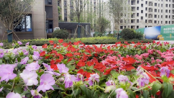 2024_06_29_13_13_IMG[00_00_02][20240629-205611]