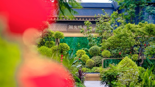 ΢ňDƬ_20240830155511