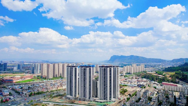 e0a3a8da2691e0e782c9c1c4b58f352