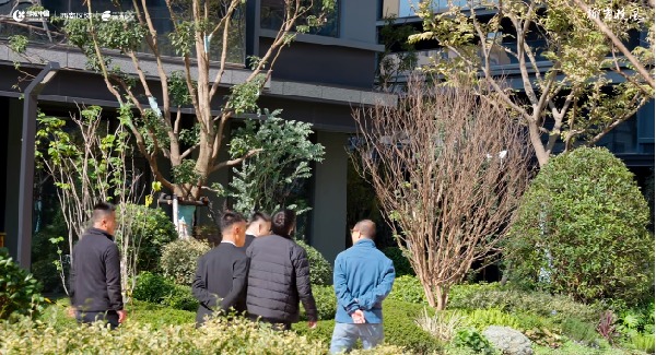 微信圖片_20241202093754