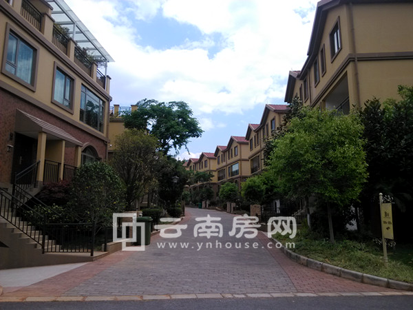 ֵз AI ɵă(ni)ݿܲ_