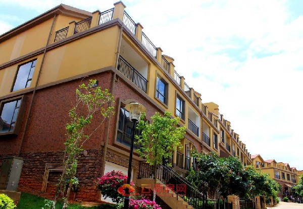 ֵ߅Ľ AI ɵă(ni)ݿܲ_