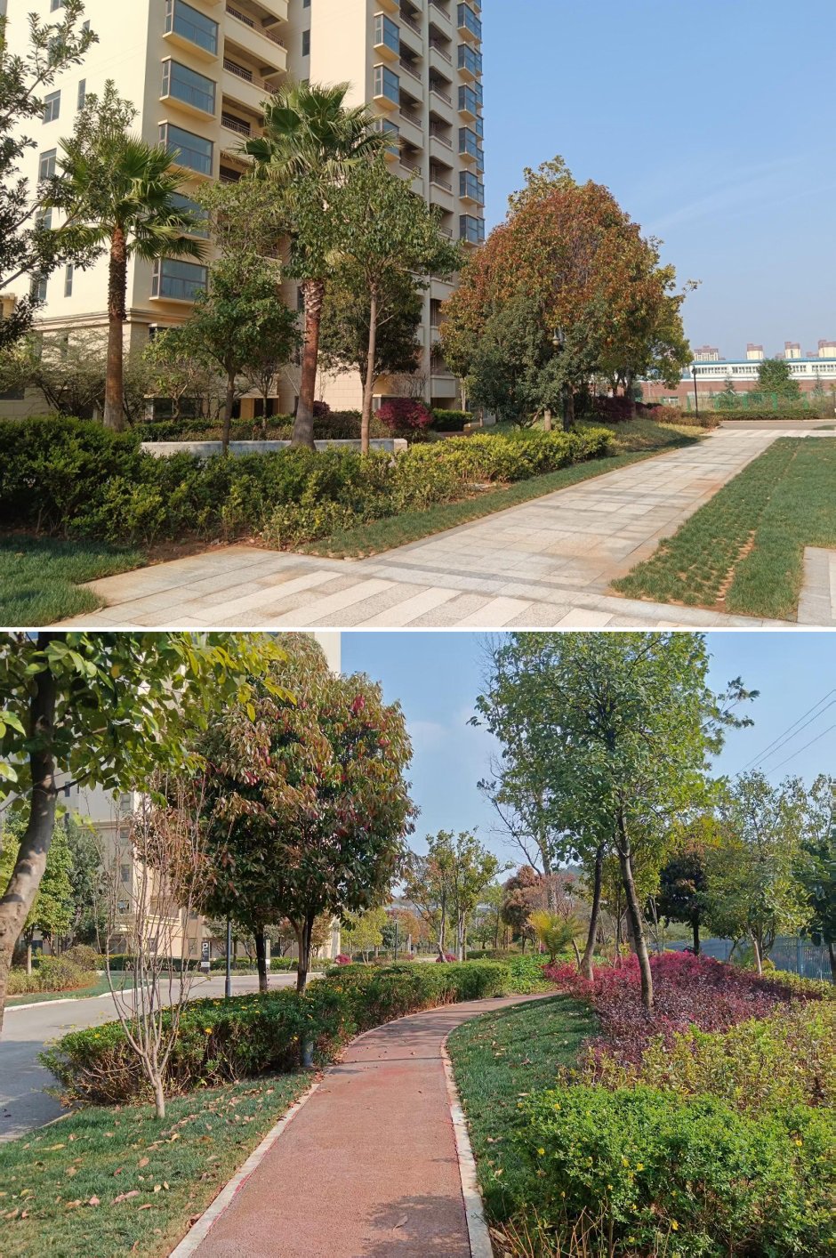 觀山苑小區內實景 觀山苑小區內實景