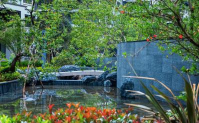 21bfcf3e18939f7269720724f58e943