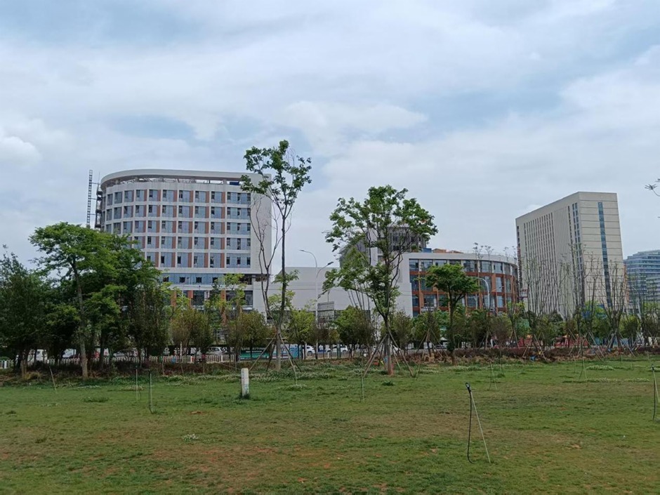 阜外醫(yī)院二期實(shí)景(前景為云冶專線公園一段) 阜外醫(yī)院二期實(shí)景(前景為云冶專線公園一段)