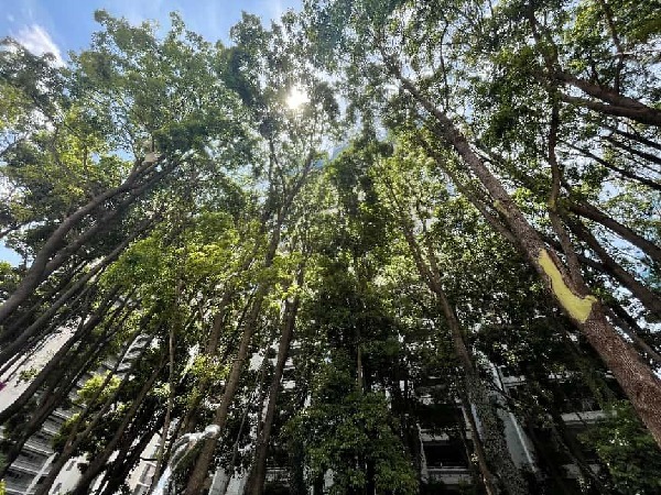 ca4ead7b82d673c627871591ea8ea7a