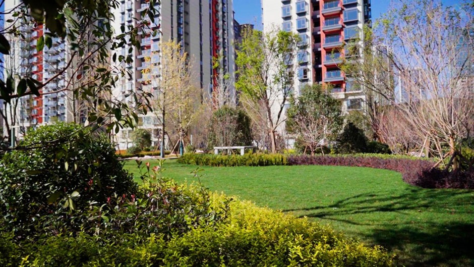 中鐵時(shí)代央著實(shí)拍 中鐵時(shí)代央著實(shí)拍