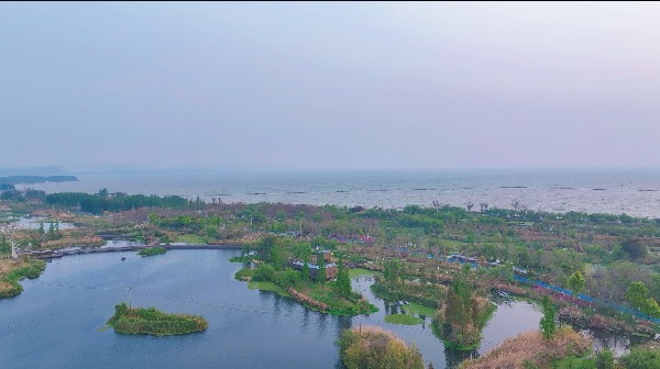 河邊城市的風景 AI 生成的內容可能不正確。