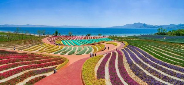 fd2e616a574849cb3616d28a9d84b17