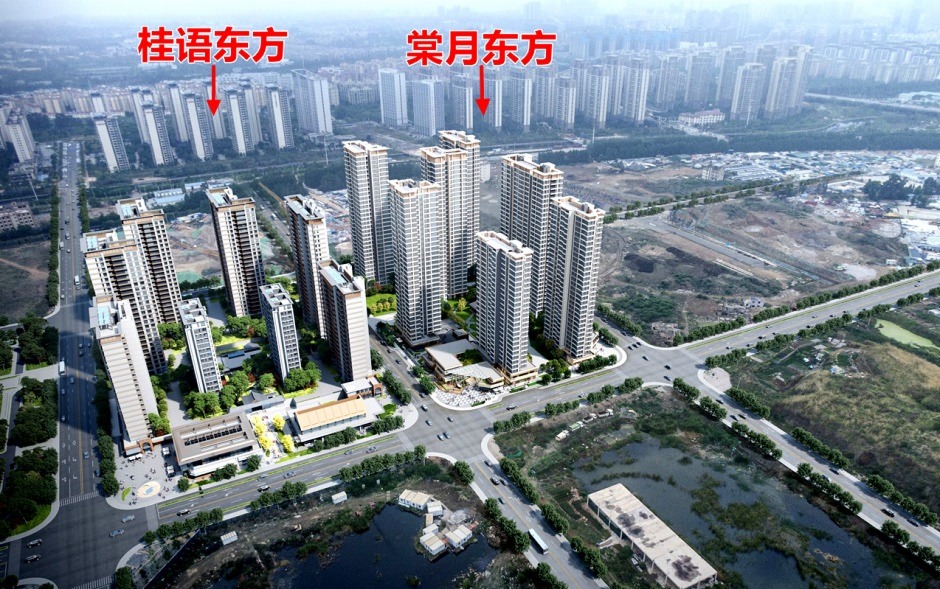 ЧD|Ľ߶@߅ĹZ|