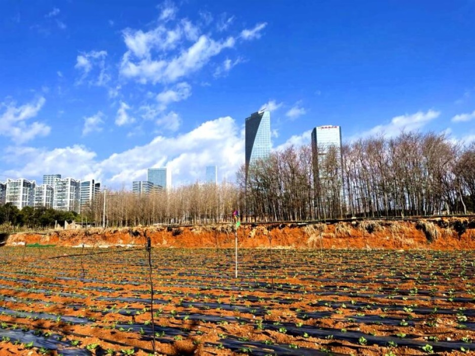 呈貢區土地資源很豐富 呈貢區土地資源很豐富