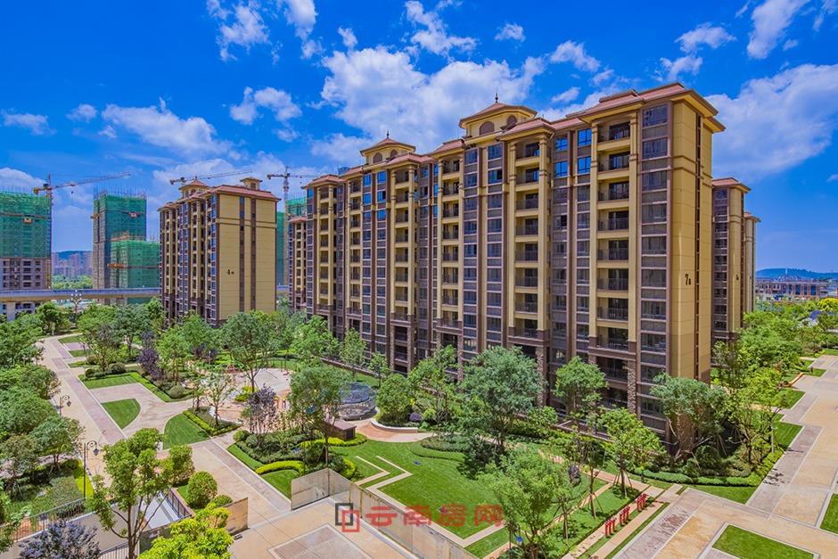 ڄ(chung)΢L(fng)ʮ(sh)D