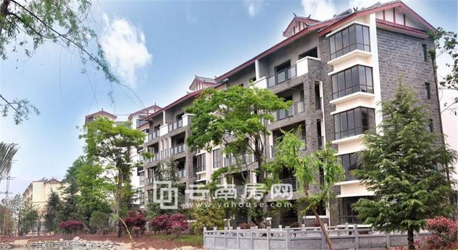 һ(yng)옷(l)҈@(sh)D