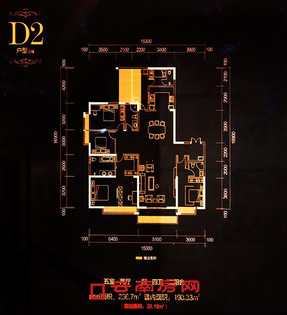 ʐD252d1N4l2_236.70