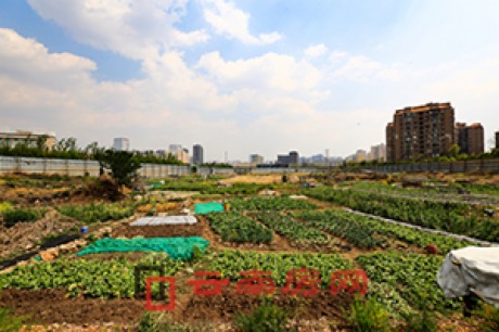 ͼϺĿͣ ѾΪ“԰”