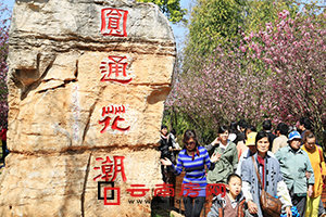 ޴ɻ֮“Բͨɽ”ӣ