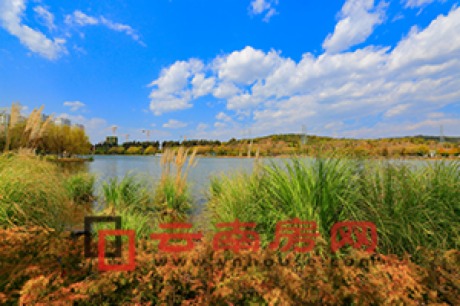 ͼֺȪɭ̬ʪع԰ ˮ⻨