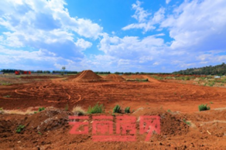 MD}@]Є(dng)E δҊP(gun)(bo)