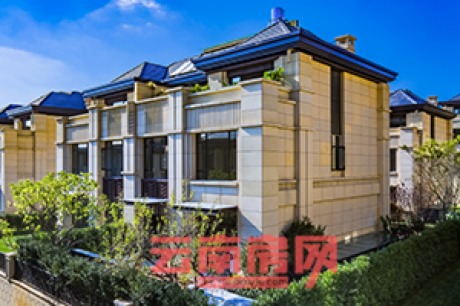 MD혳ǸpƴeD1Ns405ƽ׌wӰp