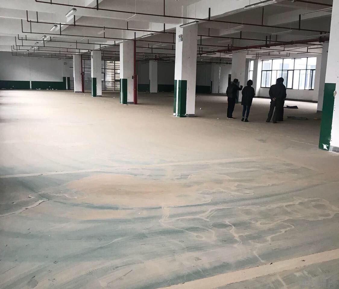 ʻ·кƷӹ  1200ƽ1200.00ƽ