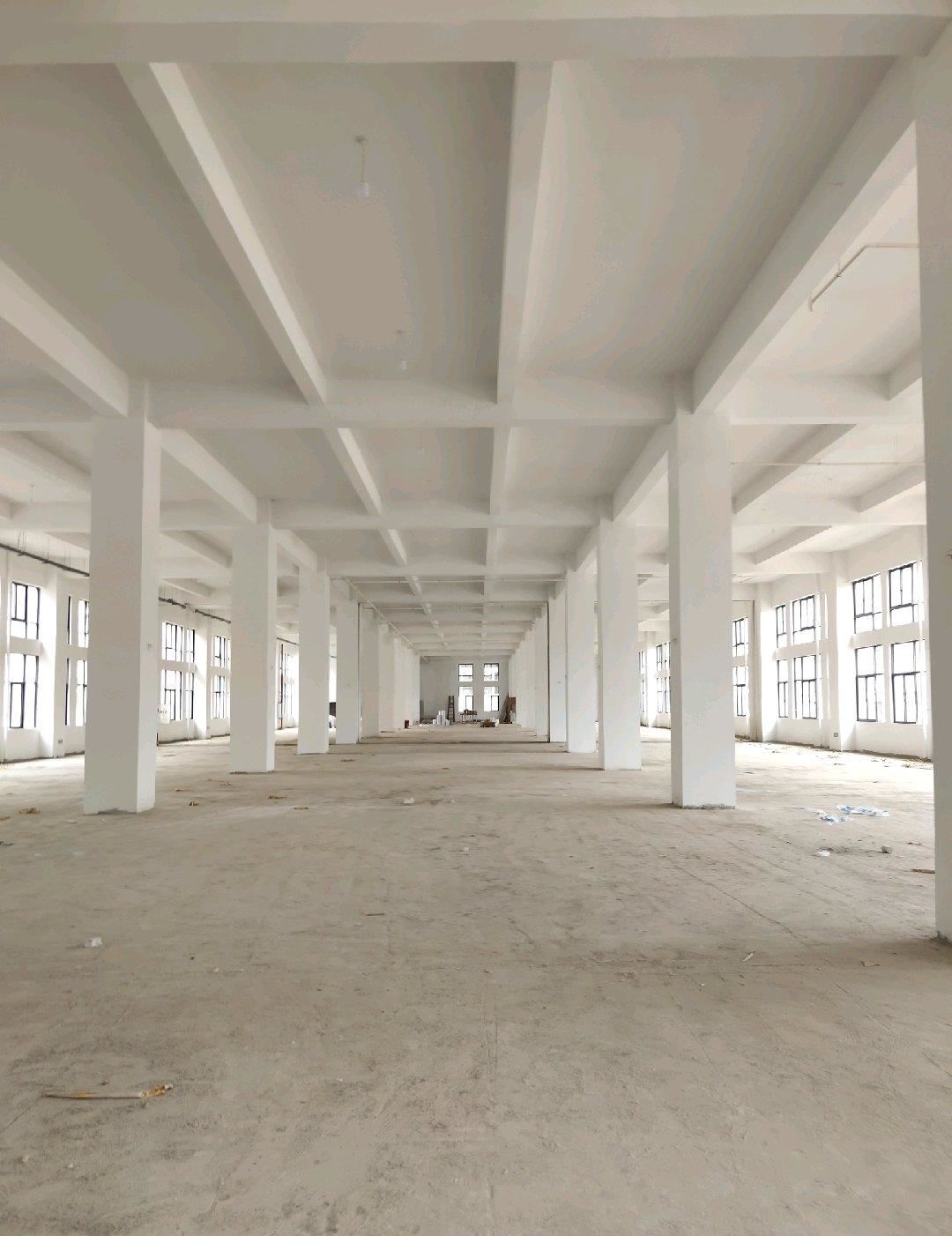 10000ƽ׳ߘ˜ʏSԷ12(5)