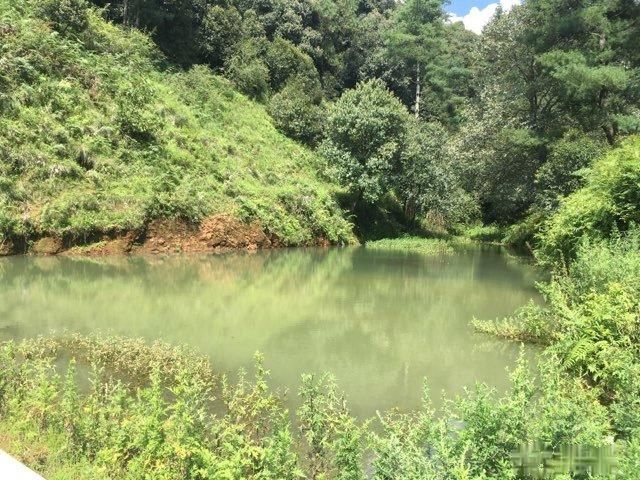  ɢ(zhn) ˮԴ 140000ƽ(4)