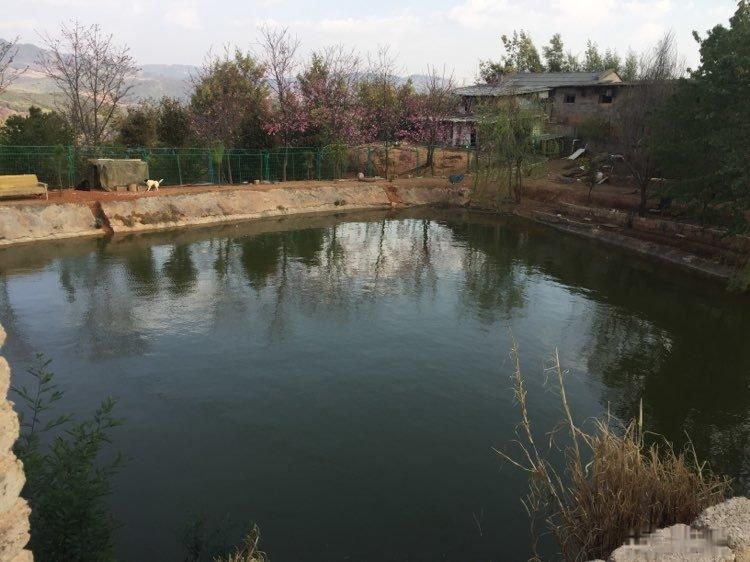 A߅ A^(q)SIɽ·  6660 ƽ(2)