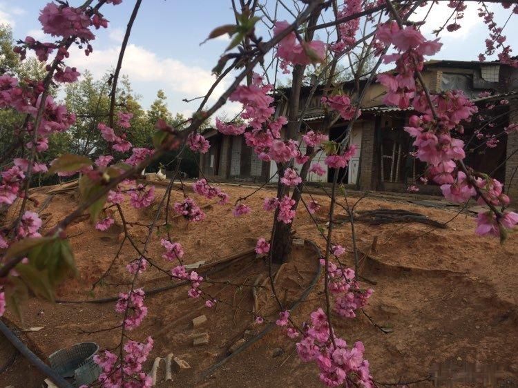 A߅ A^(q)SIɽ·  6660 ƽ(4)