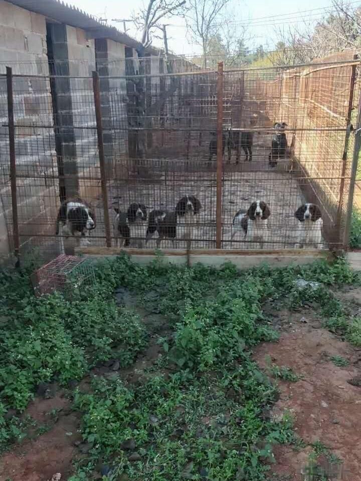 ⣬תãʹߵ飬 3000ƽ3000.00ƽ