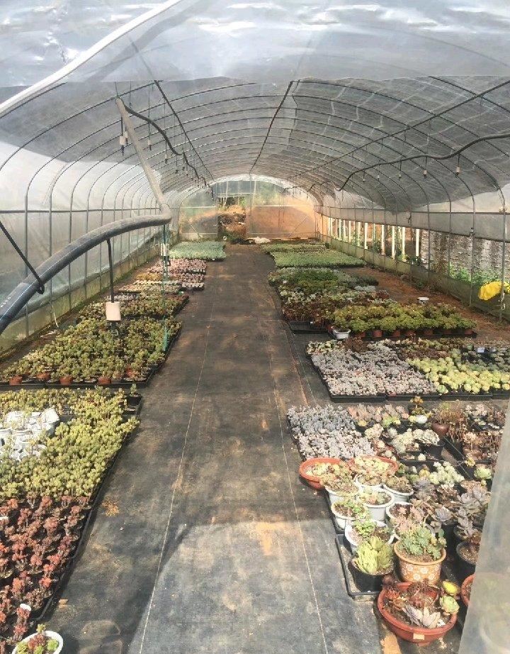 ·ںϼԷֲشﳬͼתû2500.00ƽ