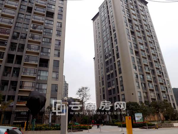 Է10Сߌסլ I܇λiPhone6