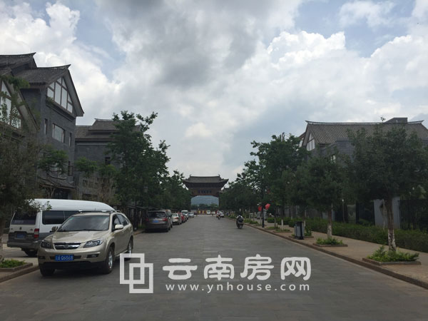 ӡϺӈDļȱPNƪĺԺF