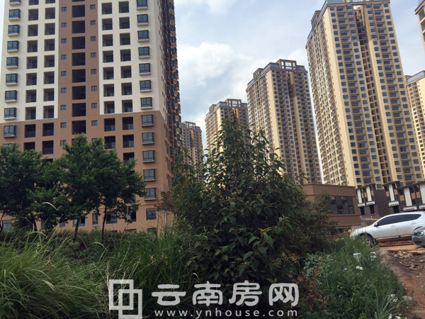 ഺIļȱPurƪɽˮ³ǼסլF