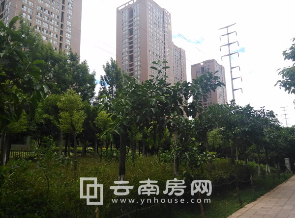 Їˮ늽̴סլP һIaCѵ