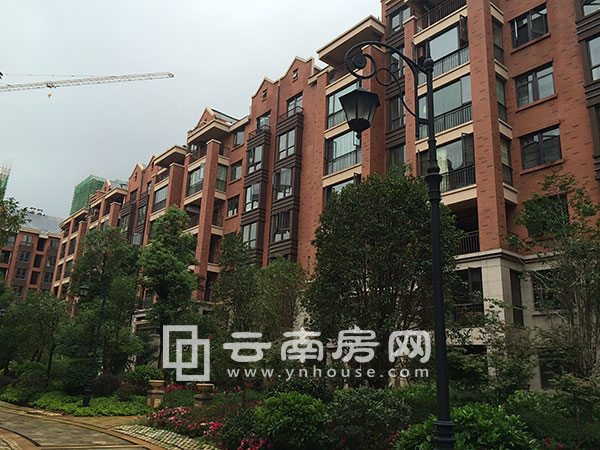 ƎXǺf@ĩekƷb 7999Ԫ/O