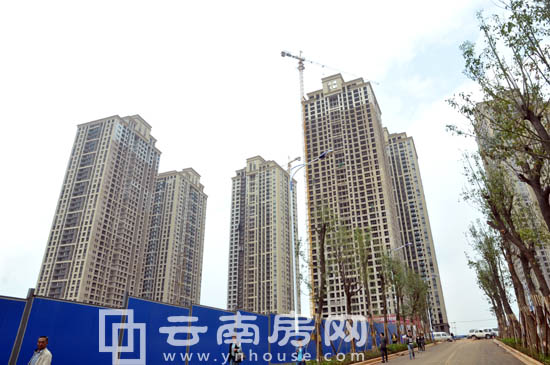 lǻw1031𽻷 ٺԷ12𽻷