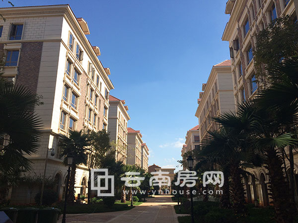 ɏ＾ȱP(pn)ƪه@1903