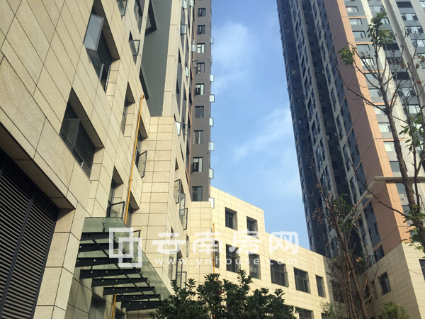 V\ļʣ30סլ r9000Ԫ/ƽ